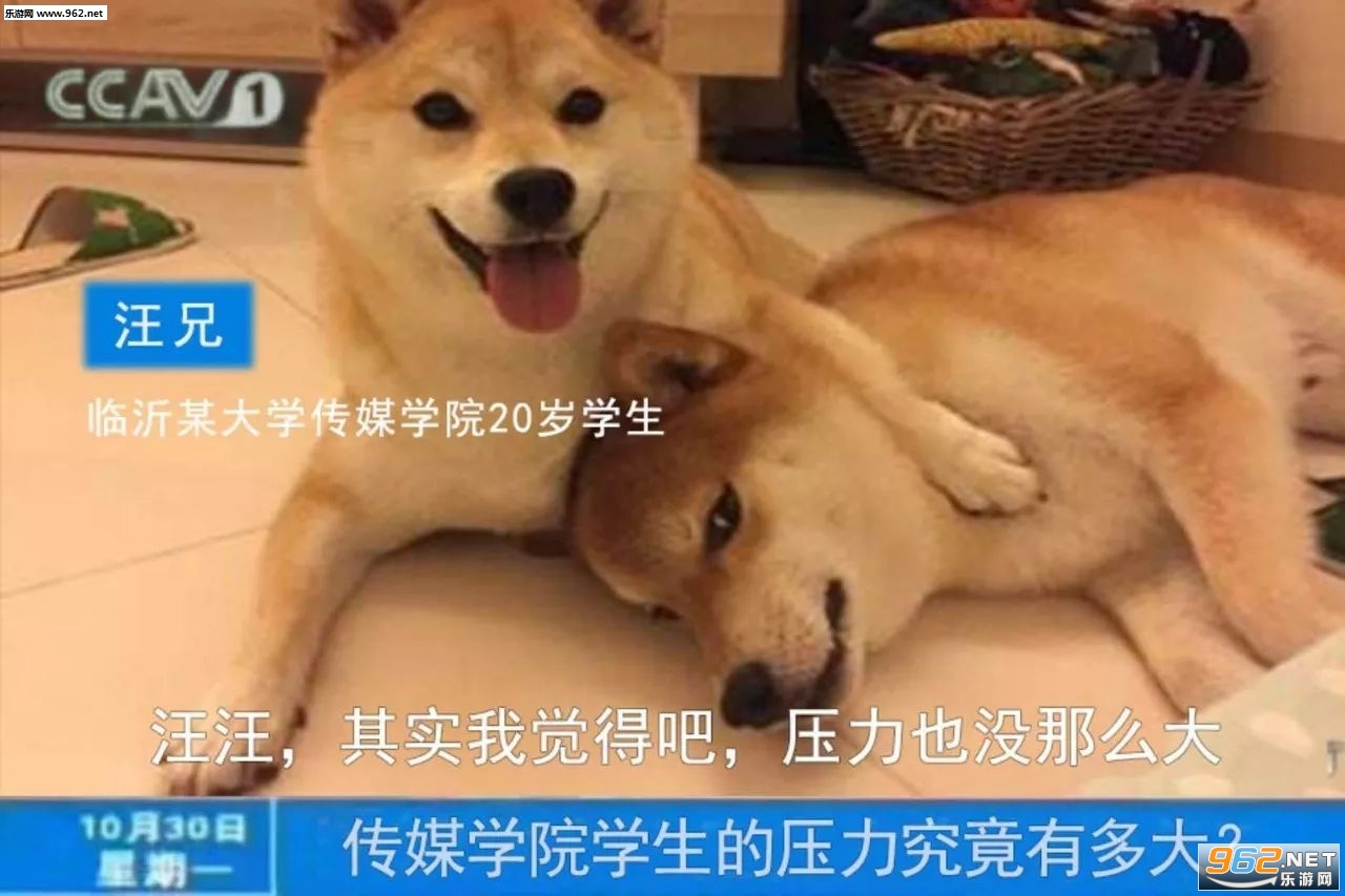 ��ʵ���Ҿ���ѹ��Ҳû��ô��������ȫ��ͼ4