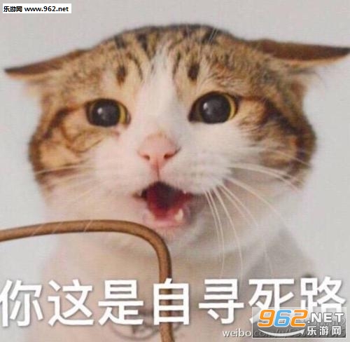 ��Ƥè�����ǿ�ջ�Цϵ�����½�ͼ1