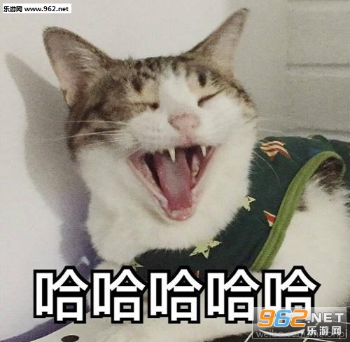 ��Ƥè�����ǿ�ջ�Цϵ�����½�ͼ2