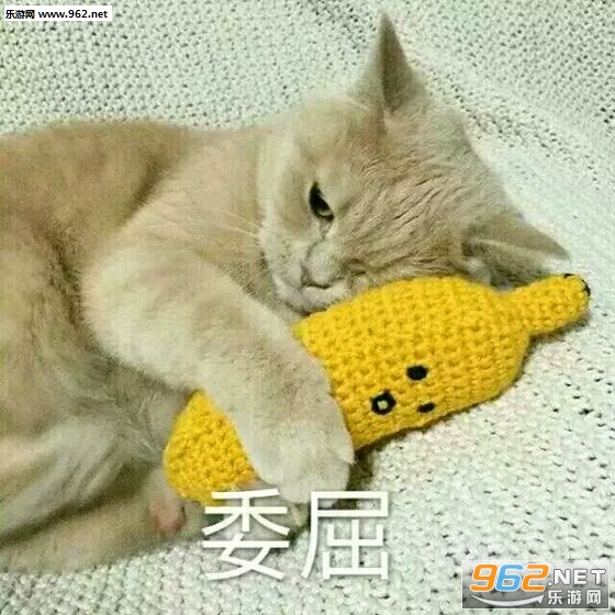 可爱的猫咪表情包带字最新合集截图0