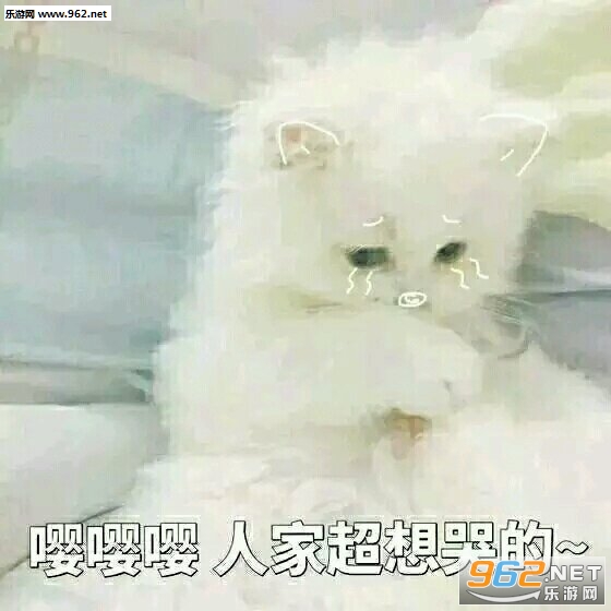 可爱的猫咪表情包带字最新合集截图1