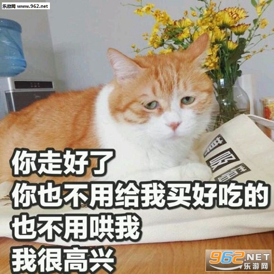 可爱的猫咪表情包带字最新合集截图3