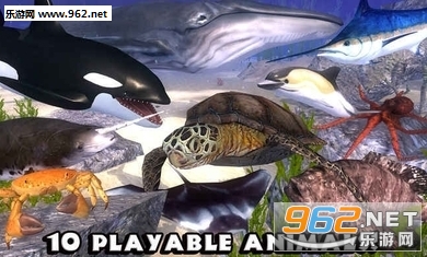 UltOceanSim(�ռ�����ģ����������)��ͼ1