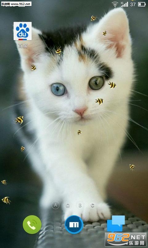 ANeko������è��׿���ͼ1