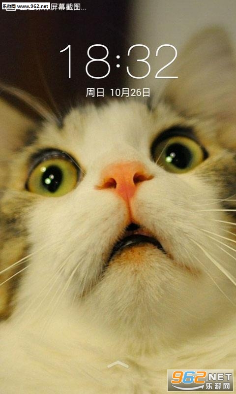 ANeko������è��׿���ͼ2