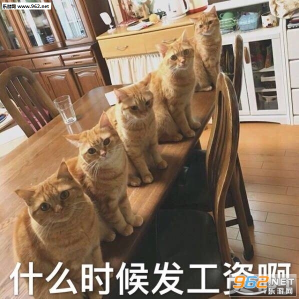 ����Ǹ�ɵ�Ӱ�è��������ͼ2