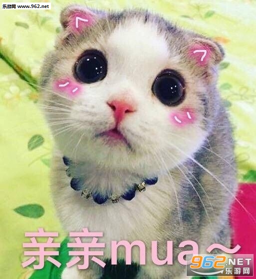 ����Ǹ�ɵ�Ӱ�è��������ͼ3
