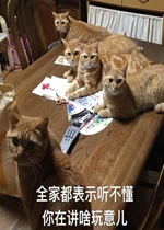 ����Ǹ�ɵ�Ӱ�è������