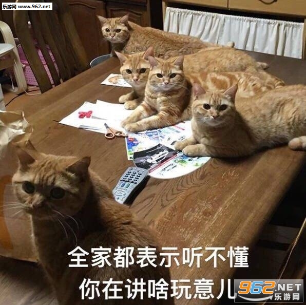 ����Ǹ�ɵ�Ӱ�è��������ͼ0