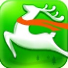 ��·�쵼��app