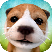 DogSimulator(������������ΰ�׿��)
