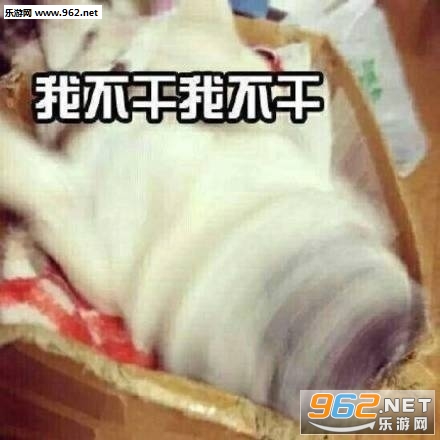 �����������������ҡͷ�������ͼ1