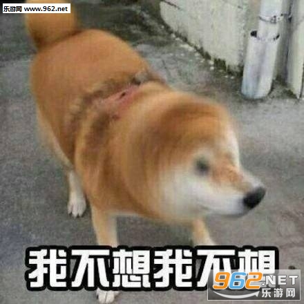 �����������������ҡͷ�������ͼ2
