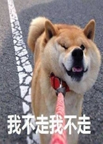 �����������������ҡͷ�����