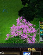 �ҽ������ʽ��V1.0.1 (������/��������)