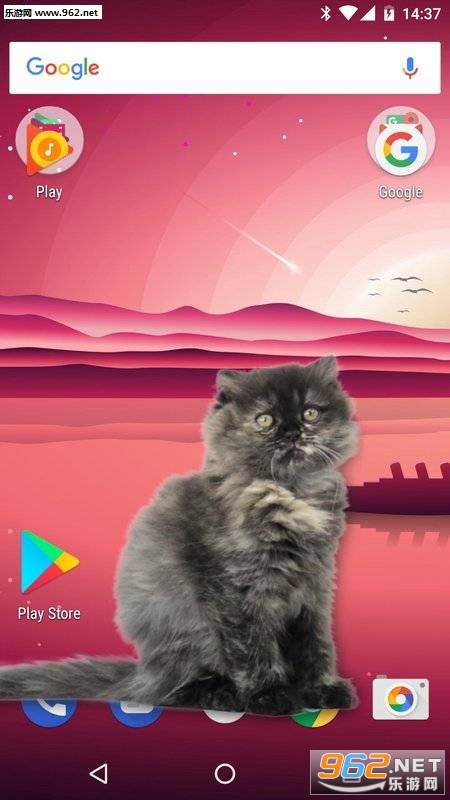 Cat Walks in Phone Cute joke(è���ֻ��ɰ���Ц������)��ͼ1