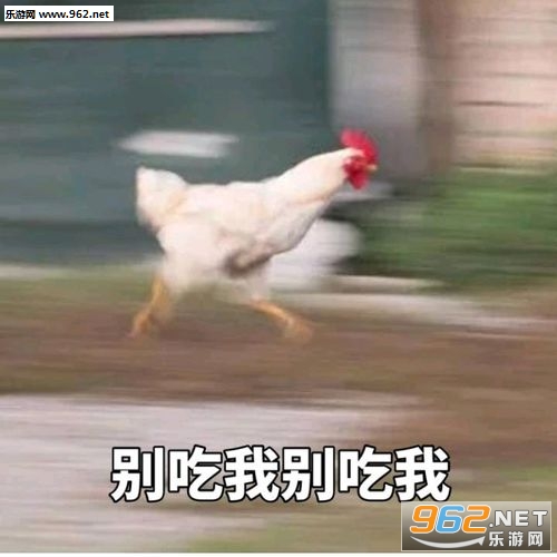 �Ҷ����˹��������ͼƬ��ͼ1