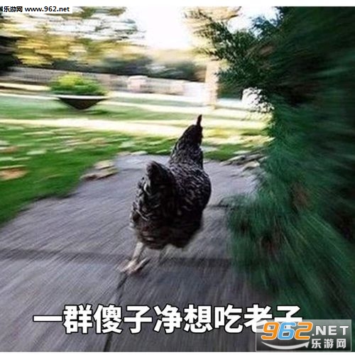 �Ҷ����˹��������ͼƬ��ͼ3