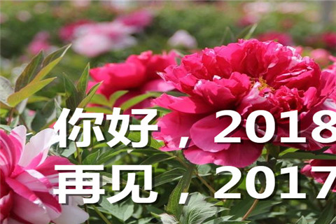 �ټ�2017���2018ͼƬ