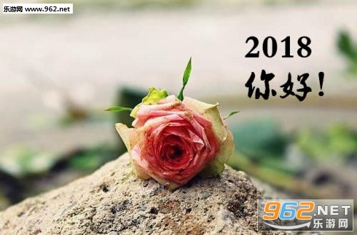 �ټ�2017���2018ͼƬ��ͼ1