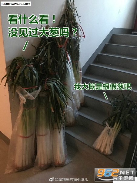 �㻹û�ҼҴи������ĸ��б������ͼ2