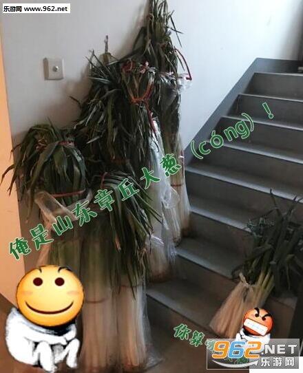 �㻹û�ҼҴи������ĸ��б������ͼ0
