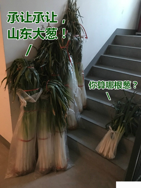 �㻹û�ҼҴи������ĸ��б����