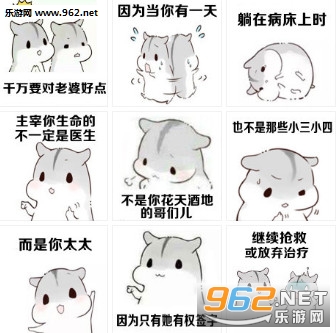 ǧ��Ҫ�����źõ�����������ͼ0
