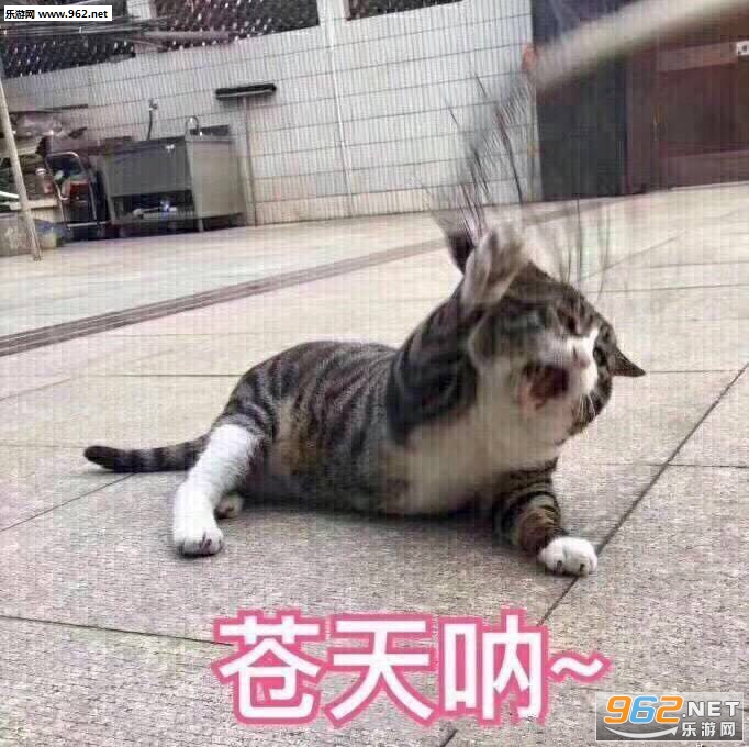 再见表面兄弟表情包图片截图9