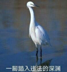 �ڱ��ѵı�Ե��̽�����ͼƬ��ͼ7