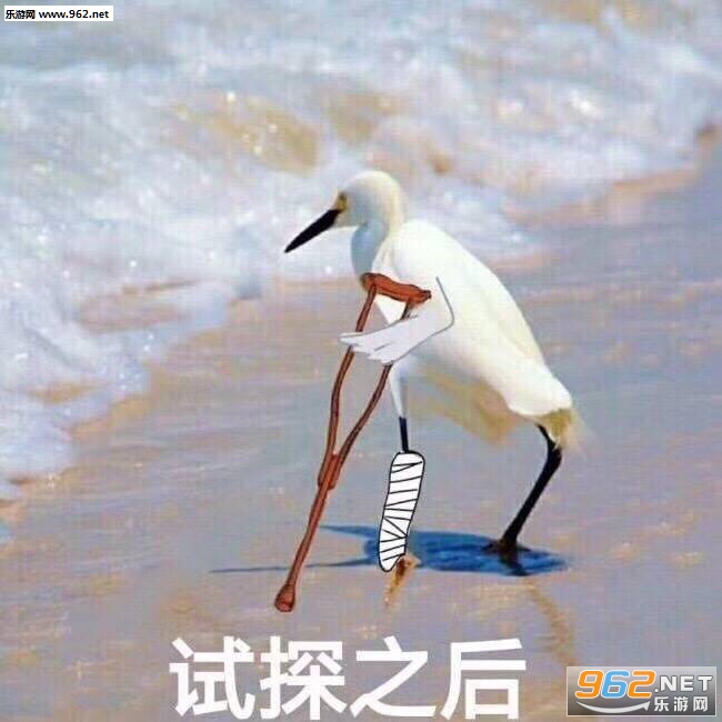 �ڱ��ѵı�Ե��̽�����ͼƬ��ͼ8