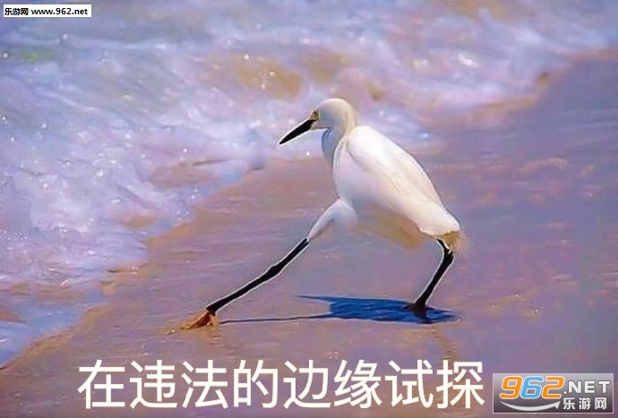 �ڱ��ѵı�Ե��̽�����ͼƬ��ͼ0