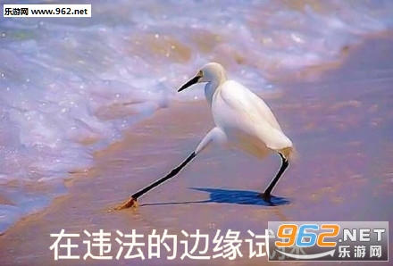 �ڱ��ѵı�Ե��̽������ͼƬ��ͼ0