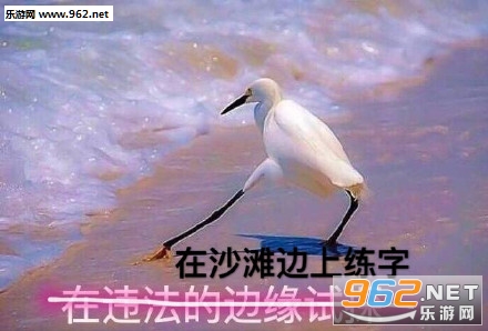�ڱ��ѵı�Ե��̽������ͼƬ��ͼ2