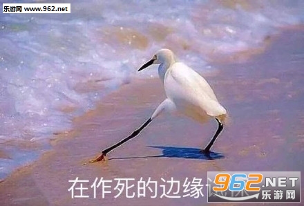 �ڱ��ѵı�Ե��̽������ͼƬ��ͼ3