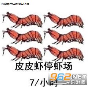 厉害了我的皮皮虾表情包截图0