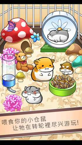 ������ճ����İ�(Hamster Life)��ͼ0