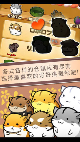 ������ճ����İ�(Hamster Life)��ͼ3