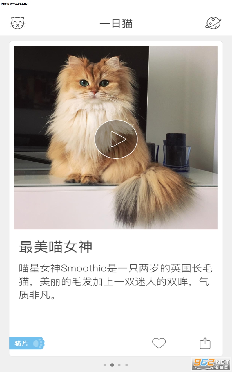һ��èappv1.6.0��ͼ1