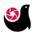 ����app