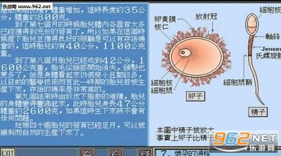 С����֪ʶ��ٿ�(win7������)dosbox���ͼ4