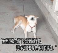 �Թ��������ͼƬ��ȫ