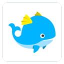 ʮ���app