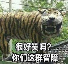 Ц�滢��ô���Ŀ�ƨ�������