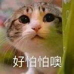 ���������˲���fu�������