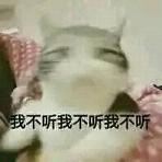 ���������˲���fu���������ˮӡ��ͼ1