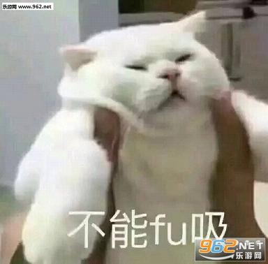 ���������˲���fu���������ˮӡ��ͼ2