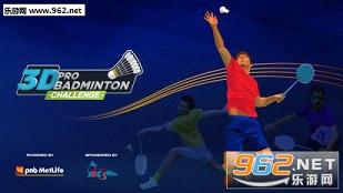 3Dרҵ��ë����ս3D Pro Badminton Challengev1.0��ͼ1