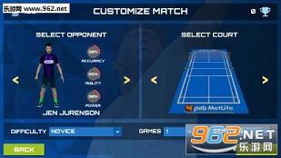 3Dרҵ��ë����ս3D Pro Badminton Challengev1.0��ͼ5