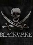 Blackwake����LMAO�������ں˺�������